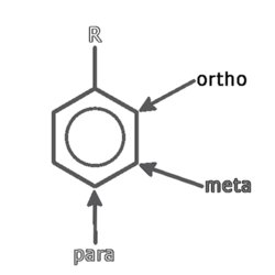 Quinone Structure